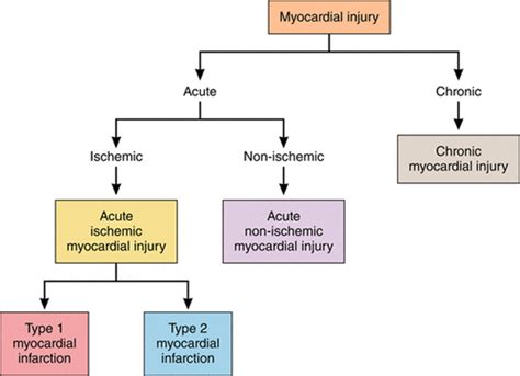 Assessment and Treatment of Patients With Type 2 Myocardial Infarction ...