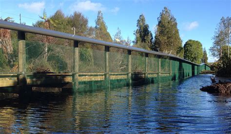 Behind the Waikato's predator-proof fence | Stuff.co.nz