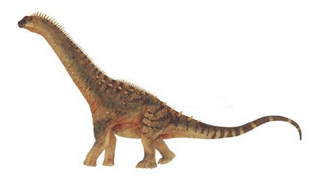 Alamosaurus Dinosaur, Facts | Information - Dinosaurs Fossils