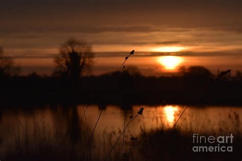 Ripon Canal 08 Photograph by Alex Waddington - Pixels