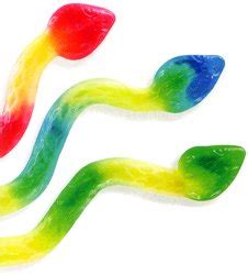 Amazon.com : Giant Gummy Snakes 5LB Bag : Grocery & Gourmet Food