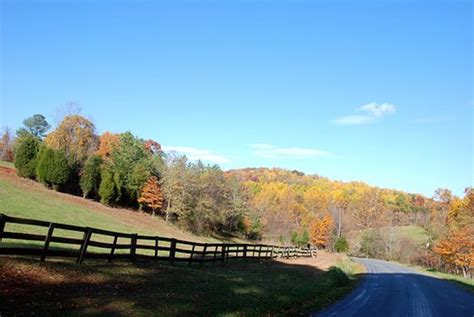 Autumn Colors in Forest Virginia - site of Thomas Jefferson's Poplar ...