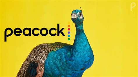 Discover Hidden Gems on Peacock TV: A Seasoned Cinephile’s Guide - TVovermind