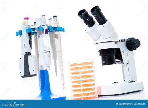 Microscope, Petri Dishes and Pipette Stand by Microbiological ...