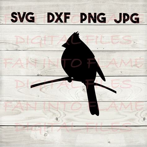 Cardinal SVG, DXF, Png, Jpg, Digital Download, Silhouette, Cricut - Etsy