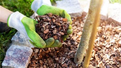 5 Sources of Free and Extremely Cheap Mulch for Your Yard and Garden