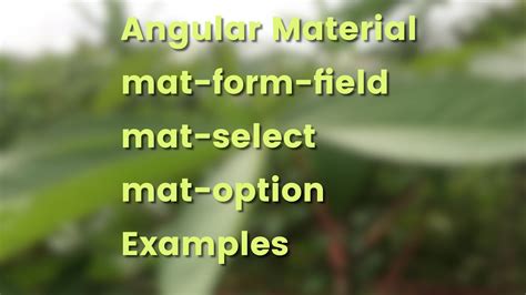 Angular Material Form Controls Select (mat-select) Example