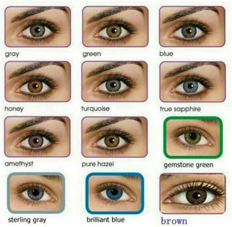 All About The Human Eye Color Chart