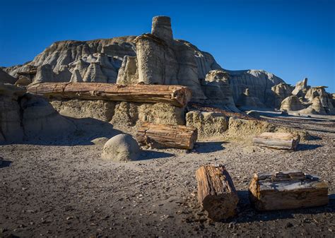 Bisti Badlands, New Mexico, Photography, bisti wilderness, hoodoos, petrified tree, landscape,