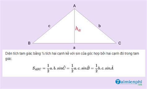 Công thức tính diện tích tam giác thường, vuông, cân, đều, bài tập có - Link Tài Liệu Giáo Dục