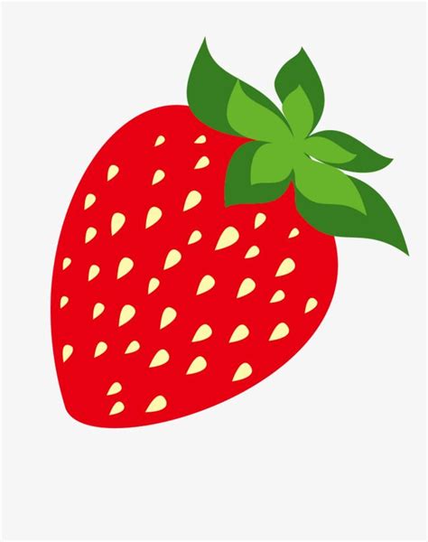 Strawberry Vector | Strawberry art, Fruits drawing, Fruit illustration