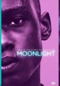 Moonlight (2016) Poster #1 - Trailer Addict