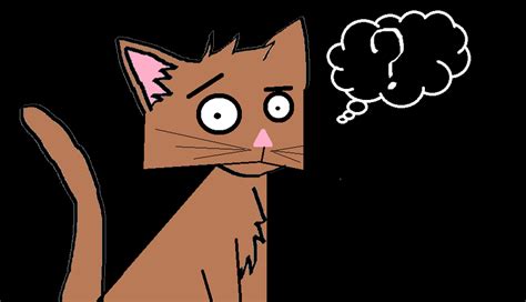 Confused Cat by jutto on DeviantArt