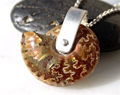 Small Ammonite Pendant Opalized Fossil Necklace Opalized - Etsy