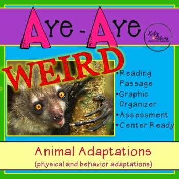 WEIRD Animal Adaptations: Aye-Aye, Reading, Science, Distant Learning ...