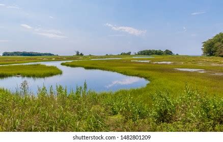 7,160 Tidal marsh Images, Stock Photos & Vectors | Shutterstock