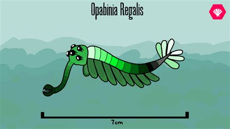 Opabinia Regalis by Heterodontosaurus on DeviantArt