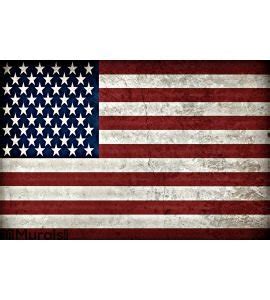 Rustic American Flag Wall Mural