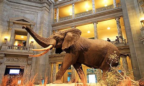 Exploring The Wonders Of The World: Smithsonian Museums, Galleries, And Zoo - WorldAtlas.com