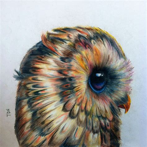 Owl by Tabitha Harris in Colored Pencil. Instagram: @tattoometabitha | Owl tattoo, Drawings, Art ...