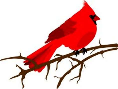 virginia bird | Virginia State Bird and Flower: Cardinal - Clip Art Library