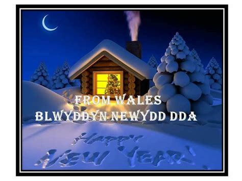 a happy new year from wales blwybyn newton dydd dda