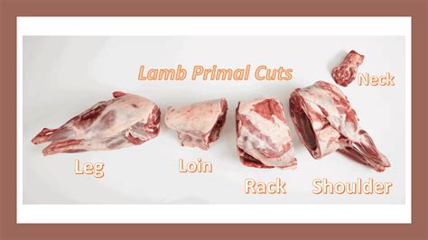 Lamb Carcass Fabrication — The Culinary Pro