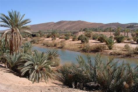 The largest rivers and lakes of Algeria. What are they?