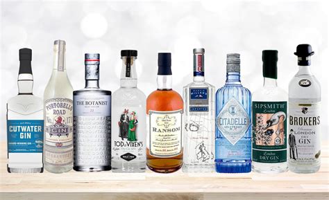 15 Of The Best Gins To Always Have On Hand