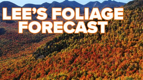 Fall foliage fall colors forecast for New York State - ABC7 New York