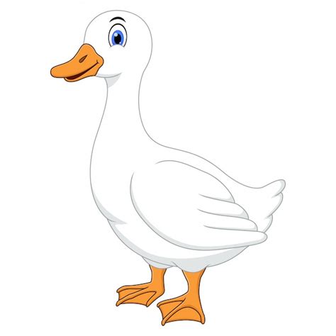 Premium Vector | Illustration of cartoon white duck on white