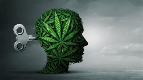 Cannabis Induced Psychosis - Symptoms, Causes, and How to Treat It