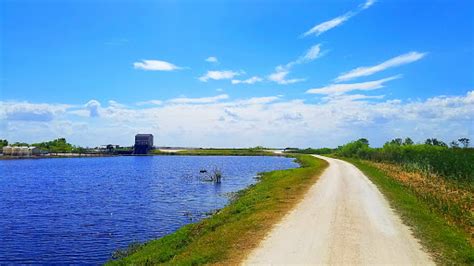 Nature Preserve «Lake Apopka Wildlife Drive», reviews and photos, 2803 ...