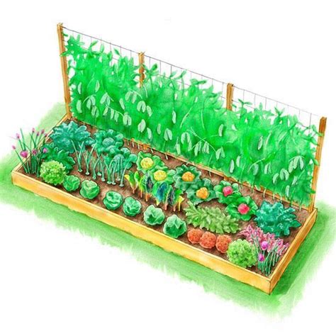 These Free Vegetable Garden Plans Will Bring a Harvest to Your Backyard | Garten, Gemüsehochbeet ...