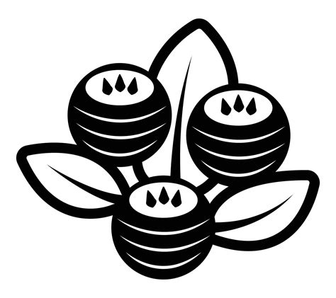 Three magical berries with leaves, black and white vector illustration 35286454 Vector Art at ...