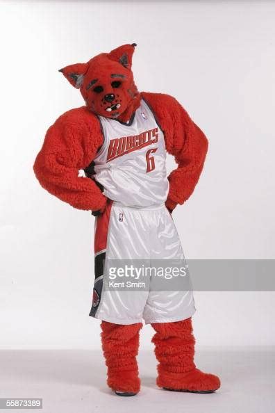 The Charlotte Bobcats mascot poses for a portrait during the Bobcats... News Photo - Getty Images