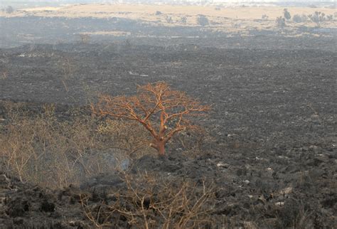 Puuanahulu brush fire contained, highway reopened - Hawaii Tribune-Herald