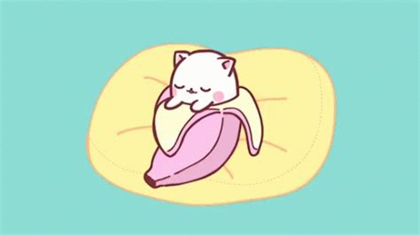 Cute Cat GIF – Cute Cat Bananya – discover and share GIFs