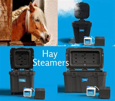 The Benefits Of Hay Steamers