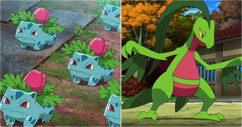 Pokemon Starter Evolutions Gen 3