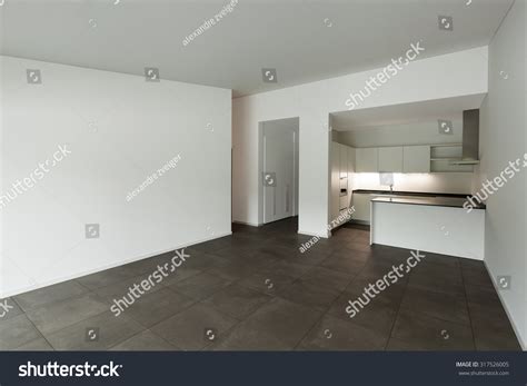 Interior New Apartment Empty Room Domestic Stock Photo 317526005 ...