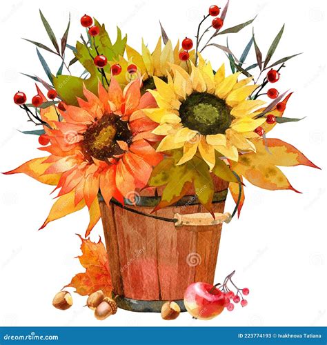 Watercolor Fall Sunflower , Rustic Clipart. Autumn Harvest Clip Art ...