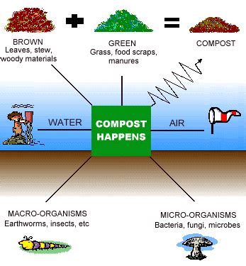 types of composting | BioEnergy Consult