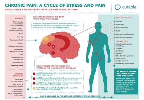 Chronic Pain - Integrative Therapy of Nashville