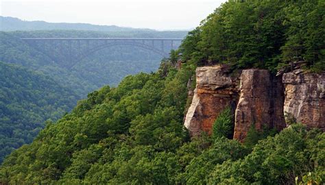 Endless Wall Hiking Trail, New River Gorge – TakeMyTrip.com