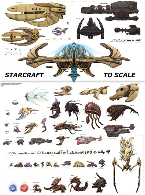 Actual scale of Starcraft units : r/starcraft