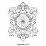 Sunflower Coloring Pages Free Printable PDF sketch template