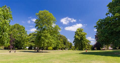 Frodsham Castle Park Junior Parkrun - Frodsham Town Council