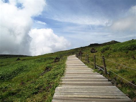 Hallasan National Park (55) | Paisajes