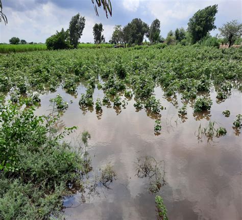 Another Consecutive Disaster in Sindh - TheWaterChannel